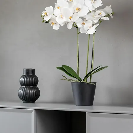 דירה White And Grey With Parking Close To Tauron Arena By Renters *